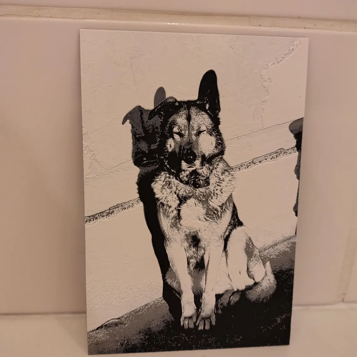 Cuadro 3D de perro pastor sentado en blanco y negro